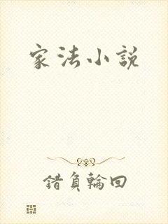 家法小说