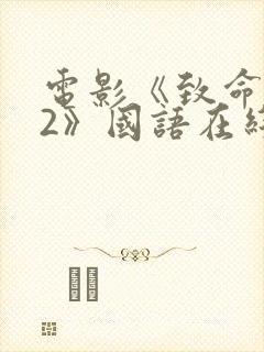 电影《致命黑兰2》国语在线播放