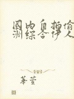 国内自拍偷区亚洲综合伊人