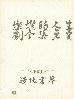 灿烂的人生电视剧全集免费观看封面