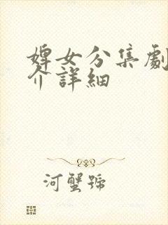 婢女分集剧情简介详细封面