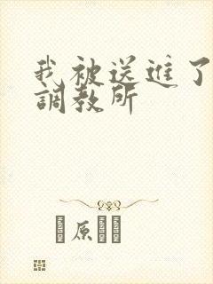 我被送进了私奴调教所