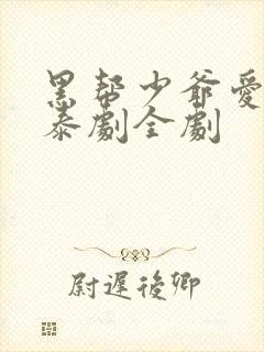 黑帮少爷爱上我泰剧全剧