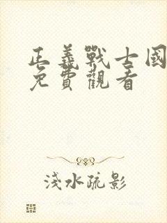 正义战士国语版免费观看