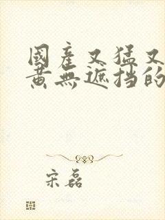 国产又猛又爽又黄无遮挡的视频