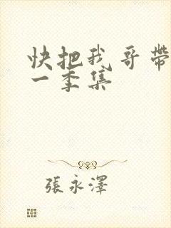 快把我哥带走第一季集