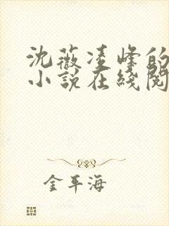 沈薇凌峰的官场小说在线阅读