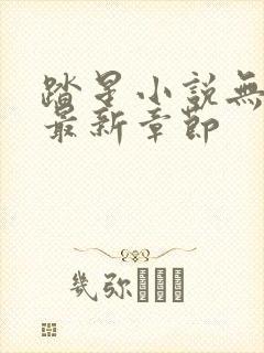 踏星小说无弹窗最新章节