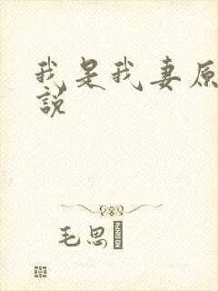 我是我妻原著小说封面