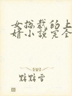 女总裁的上门女婿小说完全版封面