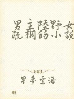 男主陆野女主明疏桐的小说封面