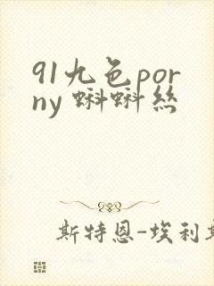 91九色porny 蝌蚪丝