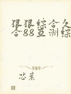 狠狠综合久久综合88亚洲综合