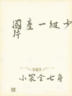 国产一级少妇淫片