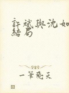 许斌与沈如玉大结局