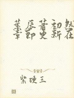 叶辰萧初然最新章节更新在线阅读