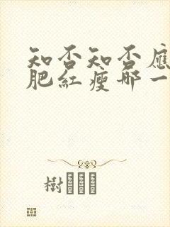 知否知否应是绿肥红瘦哪一年播出的