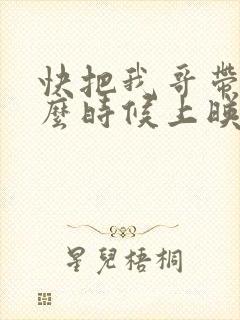 快把我哥带走什么时候上映封面