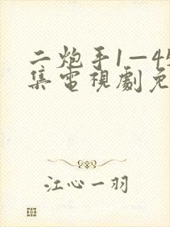 二炮手1—45集电视剧免费观看