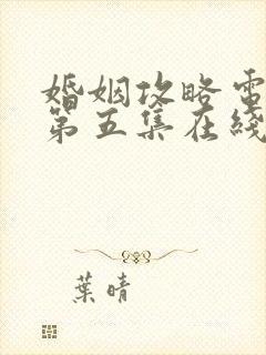 婚姻攻略电视剧第五集在线观看免费封面