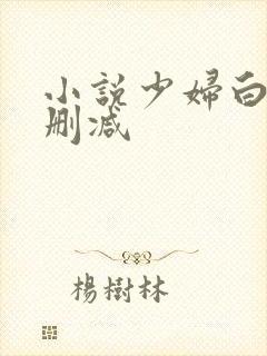 小说少妇白洁无删减