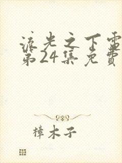 流光之下电视剧第24集免费观看全集封面