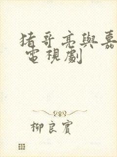 猪哥亮与嘉庆君 电视剧