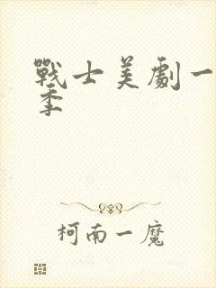 战士美剧一共几季