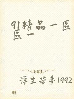 91精品一区二区一
