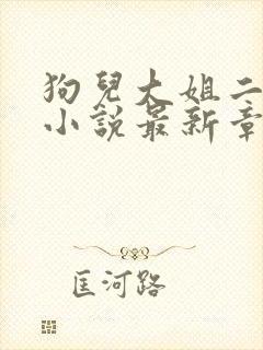 狗儿大姐二姐娘小说最新章节