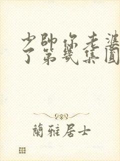 少帅你老婆又跑了第几集圆房