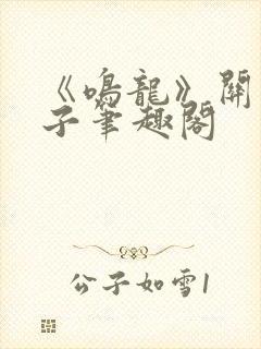 《鸣龙》关关公子笔趣阁