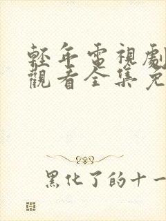 轻年电视剧在线观看全集免费高清版