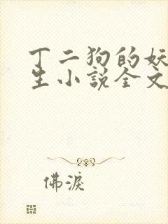 丁二狗的妖孽人生小说全文无删减封面