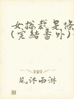 女总裁是条骚狗(完结番外)笔趣阁小说