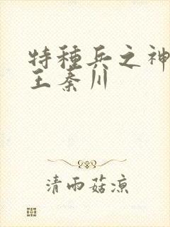 特种兵之神级兵王秦川