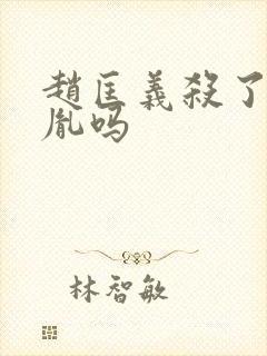 赵匡义杀了赵匡胤吗封面