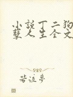 小说丁二狗的妖孽人生全文