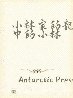 小林家的龙女仆中的小林