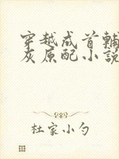 穿越成首辅的炮灰原配小说免费阅读