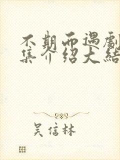 不期而遇剧情分集介绍大结局