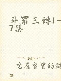 斗罗玉转1—37集