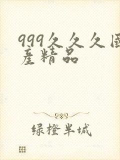 999久久久国产精品封面