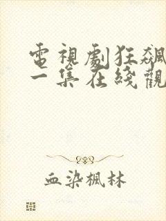 电视剧狂飙最后一集在线观看免费