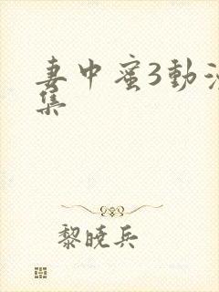 妻中蜜3动漫全集