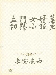 上门女婿叶辰萧初然小说免费读