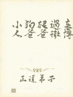 小狗爬过来叫主人爸爸微博小说封面