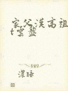 家父汉高祖txt云盘