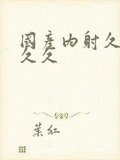 国产内射久久久久久