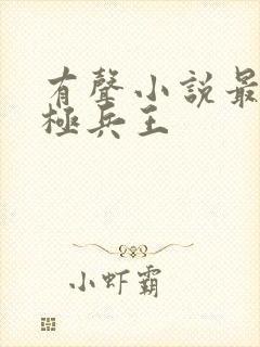 有声小说最强终极兵王